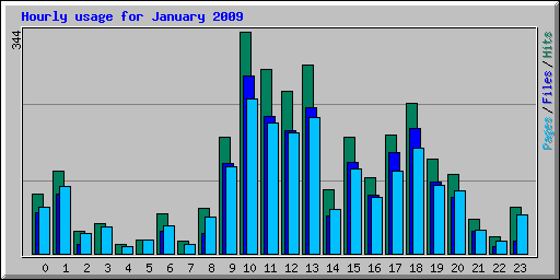 Hourly usage for January 2009